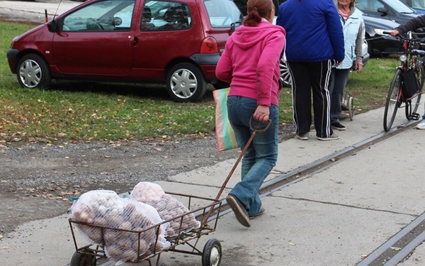 Több kilónyi zöldséget kapott 600 rászoruló 